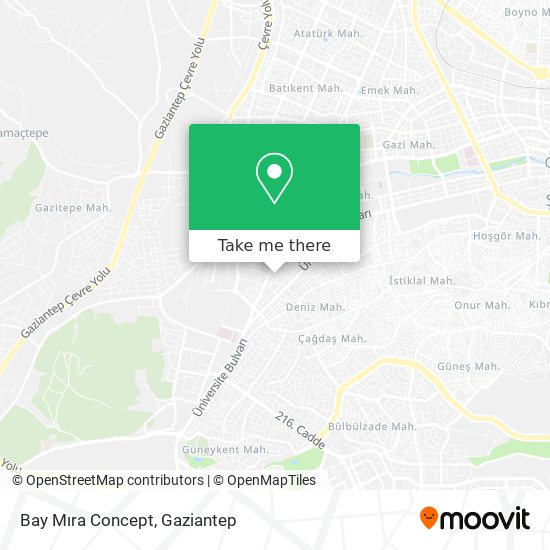 Bay Mıra Concept map