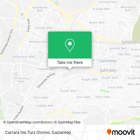 Carrara Ins.Turz.Otomo map