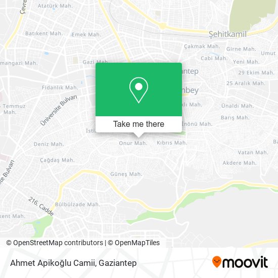 Ahmet Apikoğlu Camii map
