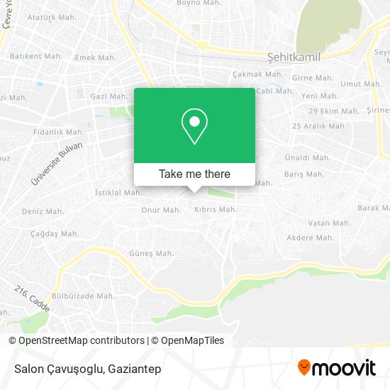Salon Çavuşoglu map