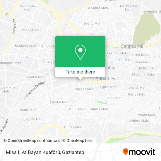 Miss Liva Bayan Kuaförü map