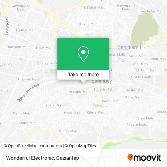 Wonderful Electronic map