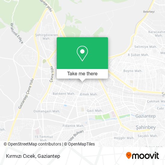 Kırmızı Cıcek map