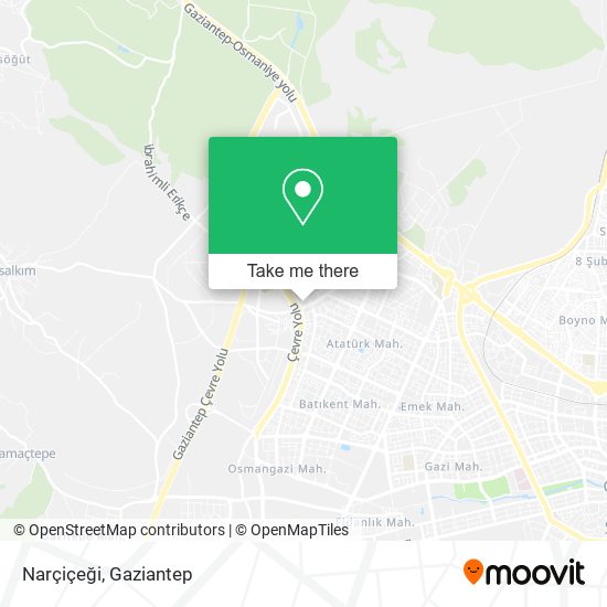 Narçiçeği map