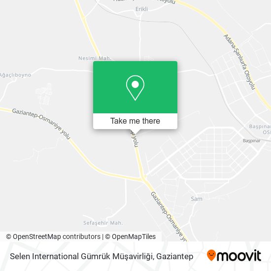 Selen International Gümrük Müşavirliği map