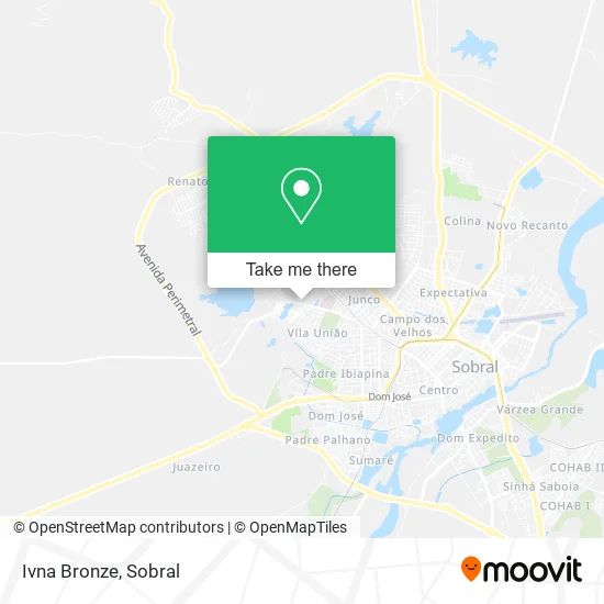 Ivna Bronze map