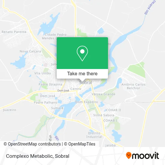 Complexo Metabolic map