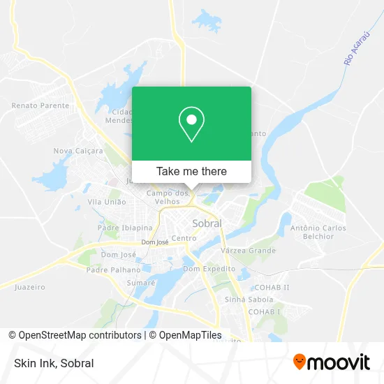 Skin Ink map