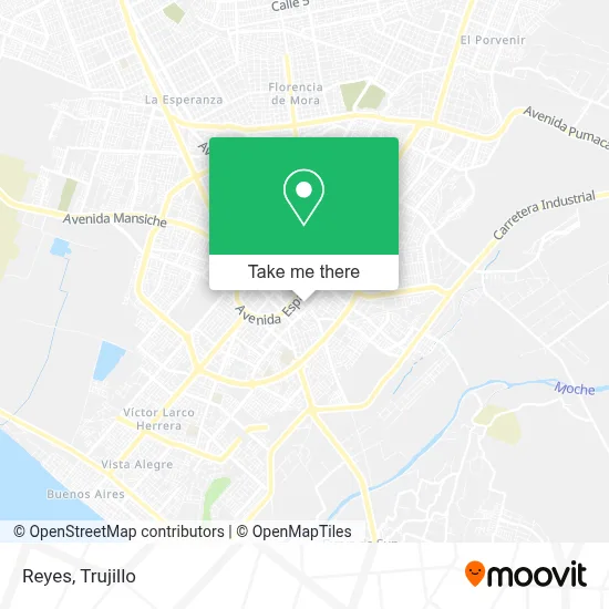 Reyes map