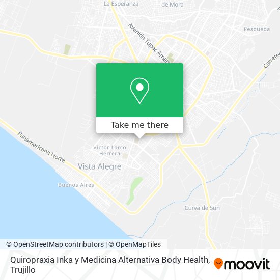 Quiropraxia Inka y Medicina Alternativa Body Health map