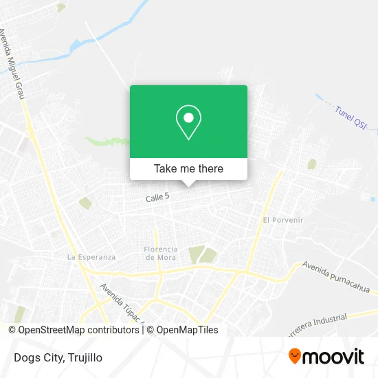 Dogs City map