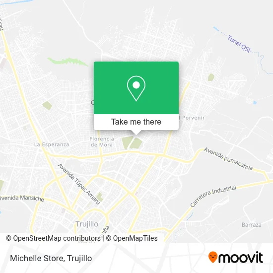 Michelle Store map
