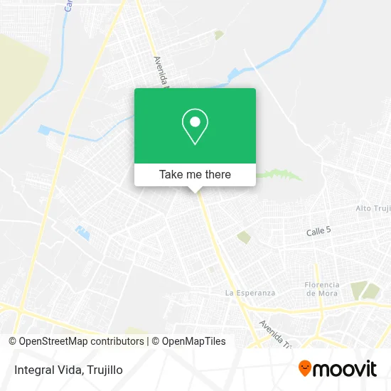 Integral Vida map