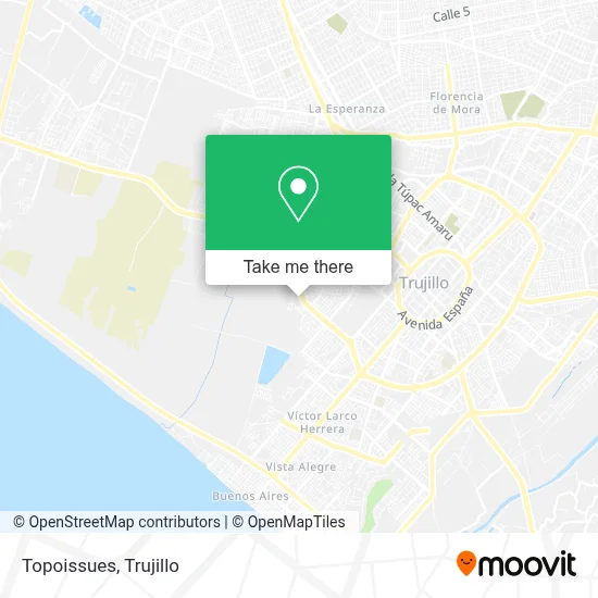 Topoissues map