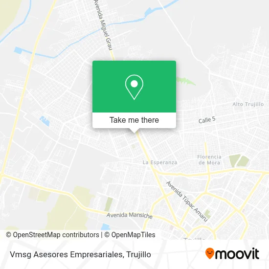 Vmsg Asesores Empresariales map