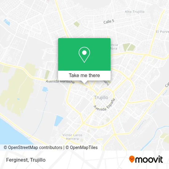 Ferginest map