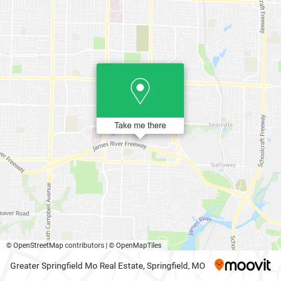 Greater Springfield Mo Real Estate map
