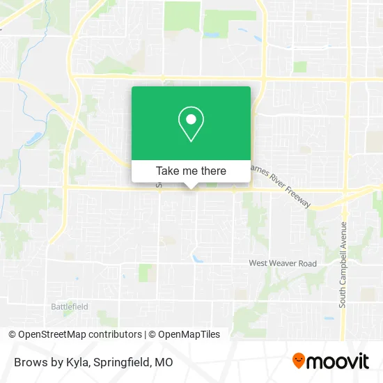 Brows by Kyla map