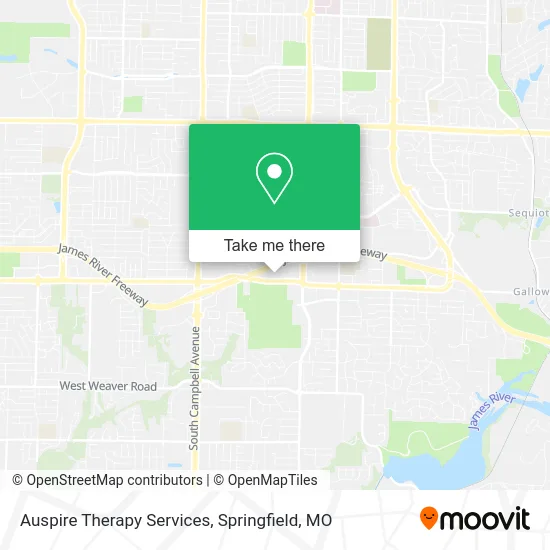 Auspire Therapy Services map