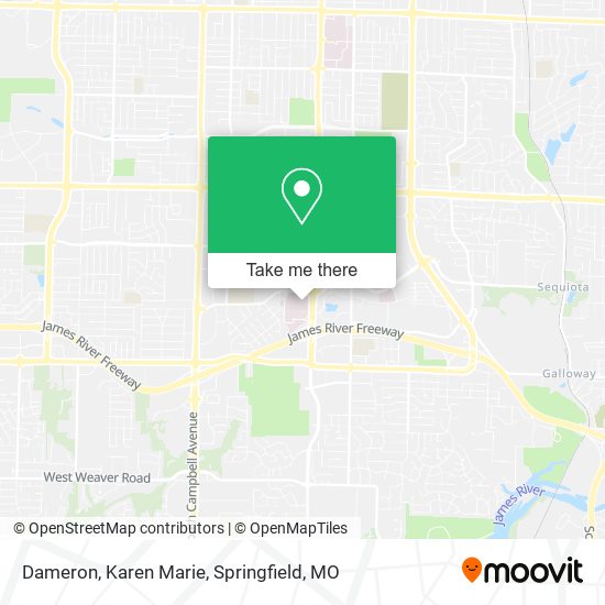 Dameron, Karen Marie map