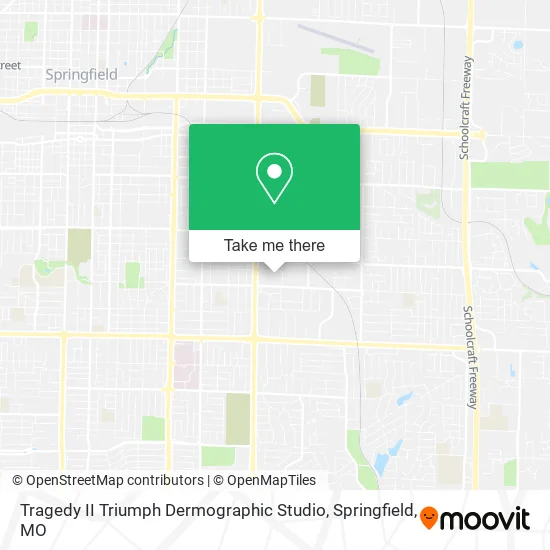 Tragedy II Triumph Dermographic Studio map