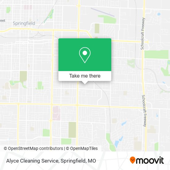 Alyce Cleaning Service map