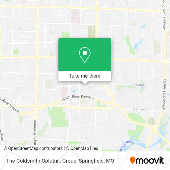Mapa de The Goldsmith Oplotnik Group