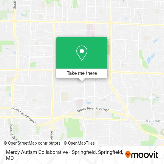 Mapa de Mercy Autism Collaborative - Springfield