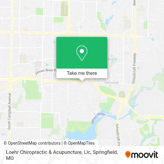 Loehr Chiropractic & Acupuncture, Llc map