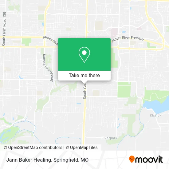 Jann Baker Healing map