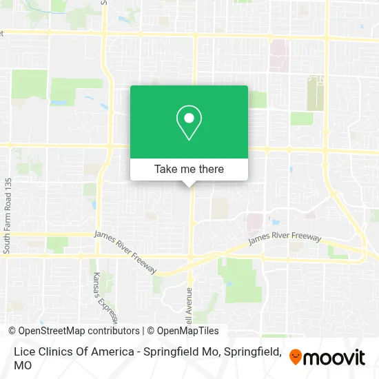 Lice Clinics Of America - Springfield Mo map