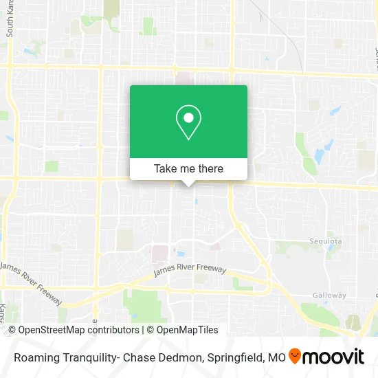Mapa de Roaming Tranquility- Chase Dedmon