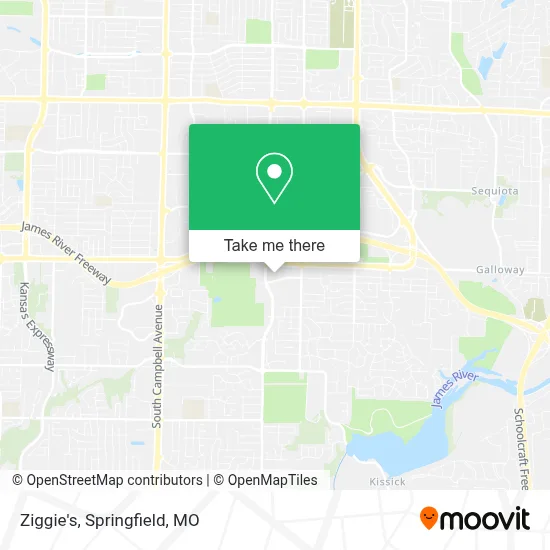Ziggie's map