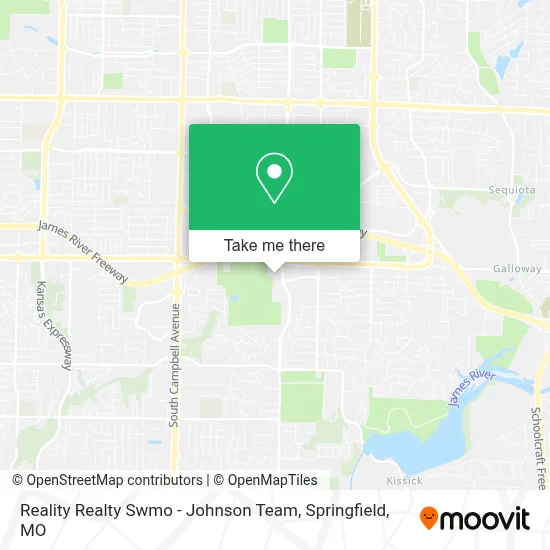 Reality Realty Swmo - Johnson Team map