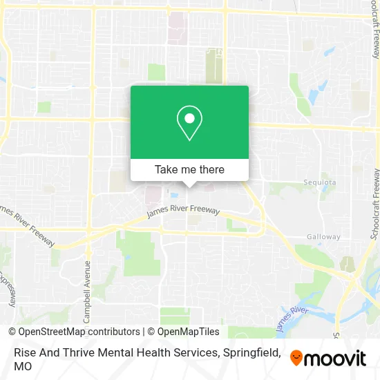 Rise And Thrive Mental Health Services map