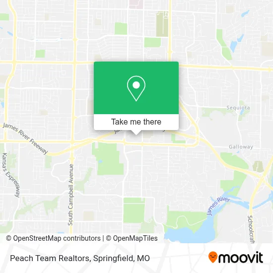 Peach Team Realtors map