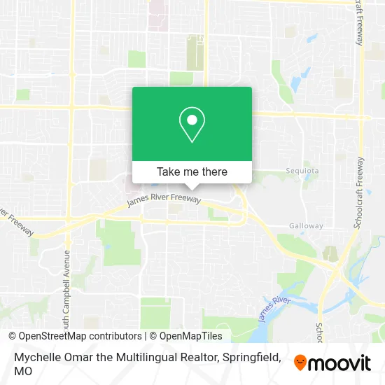 Mychelle Omar the Multilingual Realtor map