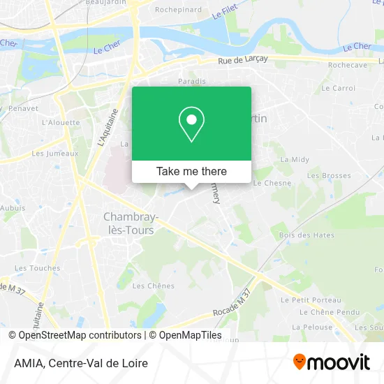 AMIA map