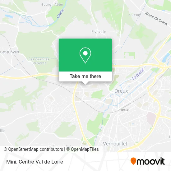 Mini map