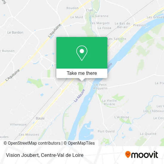 Vision Joubert map