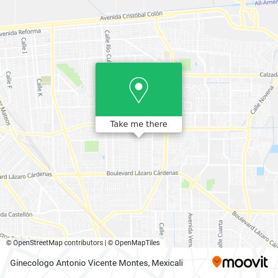 Mapa de Ginecologo Antonio Vicente Montes