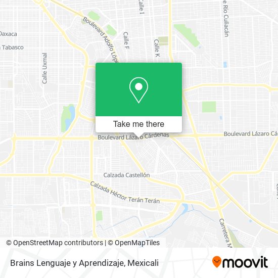 Mapa de Brains Lenguaje y Aprendizaje