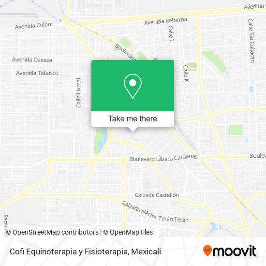 Mapa de Cofi Equinoterapia y Fisioterapia