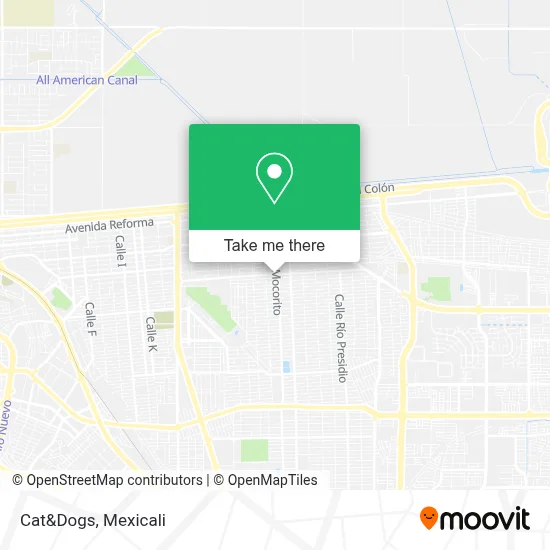 Cat&Dogs map