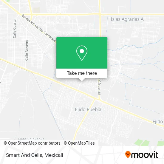 Smart And Cells map