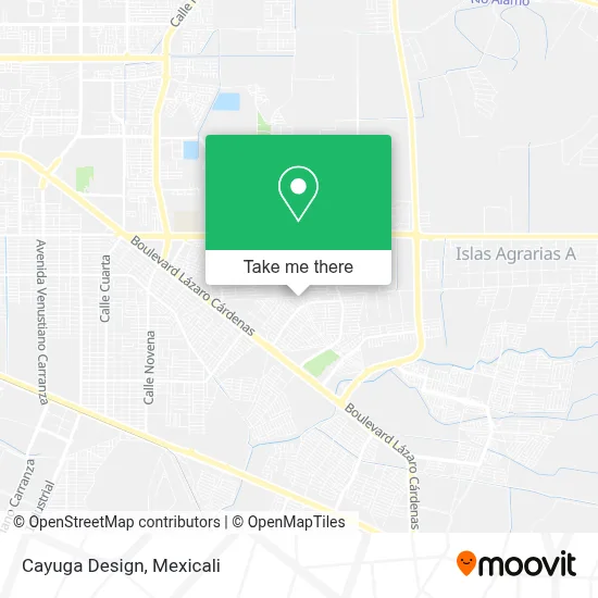 Cayuga Design map