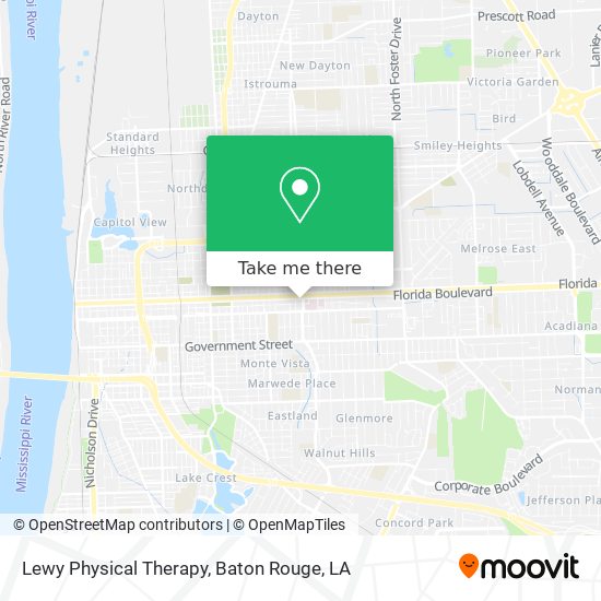 Mapa de Lewy Physical Therapy