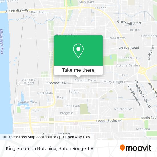 Mapa de King Solomon Botanica