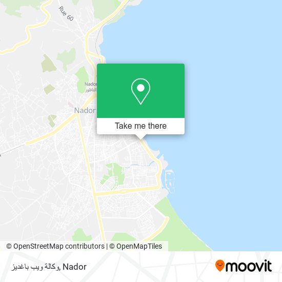 وكالة ويب باغديز map