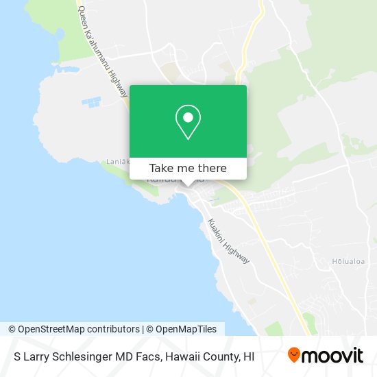 S Larry Schlesinger MD Facs map